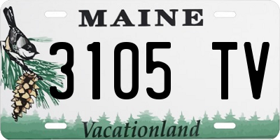 ME license plate 3105TV