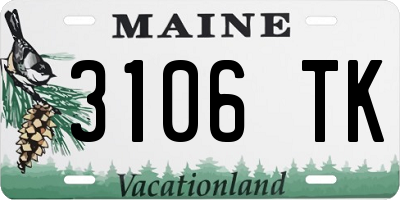 ME license plate 3106TK