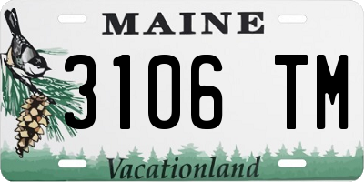 ME license plate 3106TM