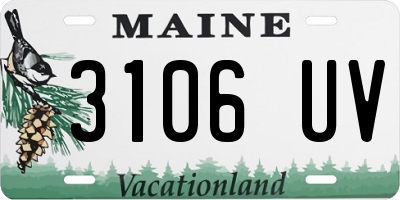 ME license plate 3106UV