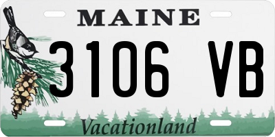 ME license plate 3106VB