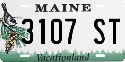 ME license plate 3107ST