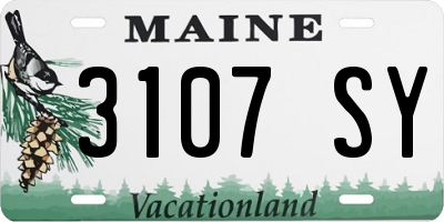 ME license plate 3107SY