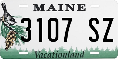 ME license plate 3107SZ
