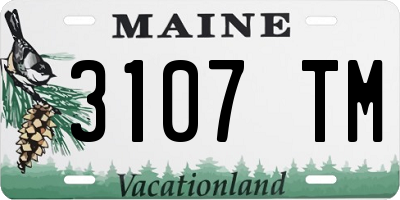 ME license plate 3107TM