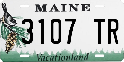 ME license plate 3107TR