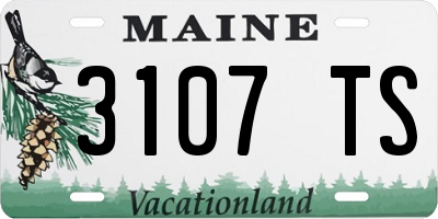 ME license plate 3107TS