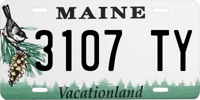 ME license plate 3107TY
