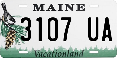 ME license plate 3107UA