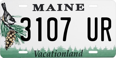 ME license plate 3107UR