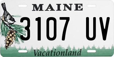 ME license plate 3107UV