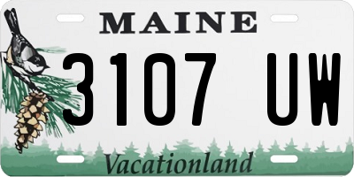 ME license plate 3107UW