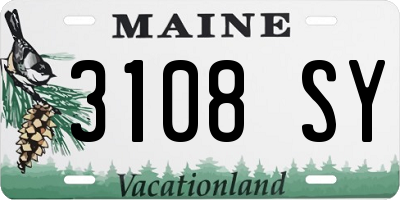 ME license plate 3108SY