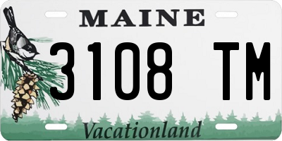 ME license plate 3108TM