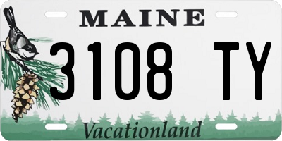 ME license plate 3108TY