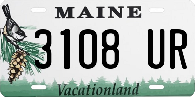 ME license plate 3108UR