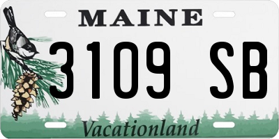 ME license plate 3109SB