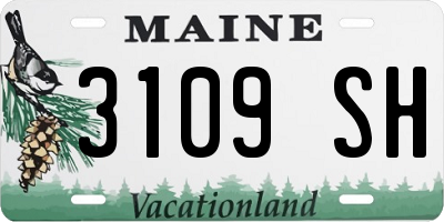 ME license plate 3109SH