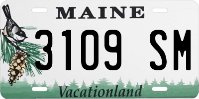 ME license plate 3109SM