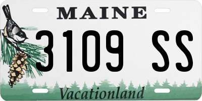 ME license plate 3109SS