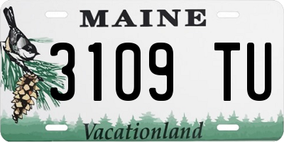ME license plate 3109TU