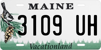 ME license plate 3109UH