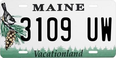 ME license plate 3109UW