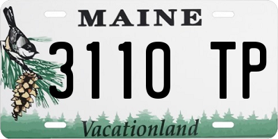 ME license plate 3110TP