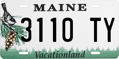 ME license plate 3110TY