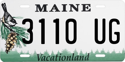 ME license plate 3110UG