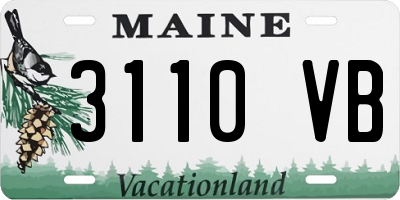ME license plate 3110VB