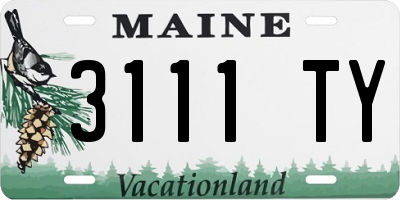 ME license plate 3111TY