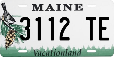 ME license plate 3112TE