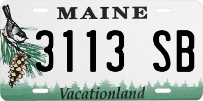 ME license plate 3113SB