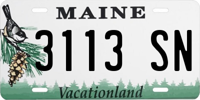 ME license plate 3113SN