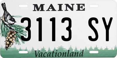 ME license plate 3113SY