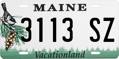 ME license plate 3113SZ