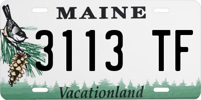 ME license plate 3113TF