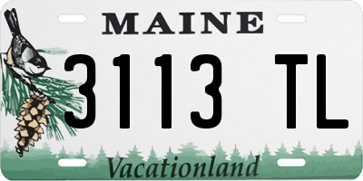 ME license plate 3113TL