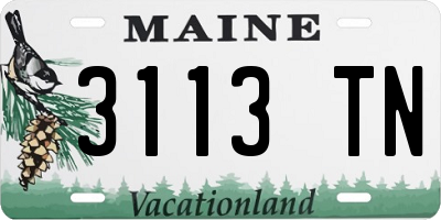 ME license plate 3113TN
