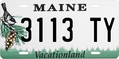 ME license plate 3113TY