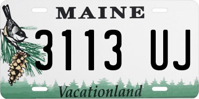 ME license plate 3113UJ