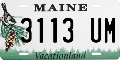 ME license plate 3113UM