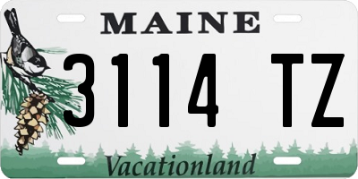 ME license plate 3114TZ