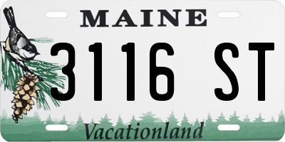 ME license plate 3116ST