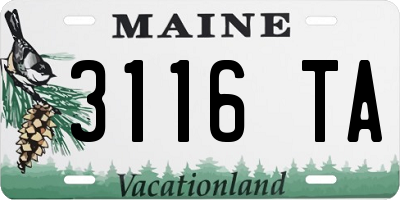 ME license plate 3116TA
