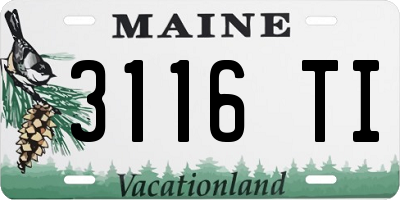 ME license plate 3116TI