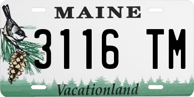 ME license plate 3116TM