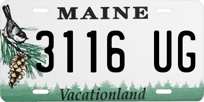 ME license plate 3116UG