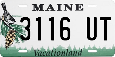 ME license plate 3116UT